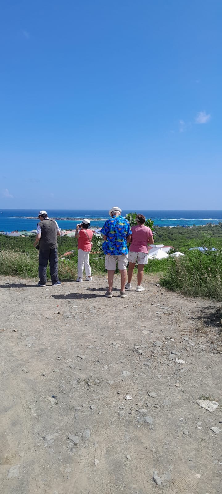 Scenic Viewpoints — Orient Bay overlook with Andy Private Driver Service